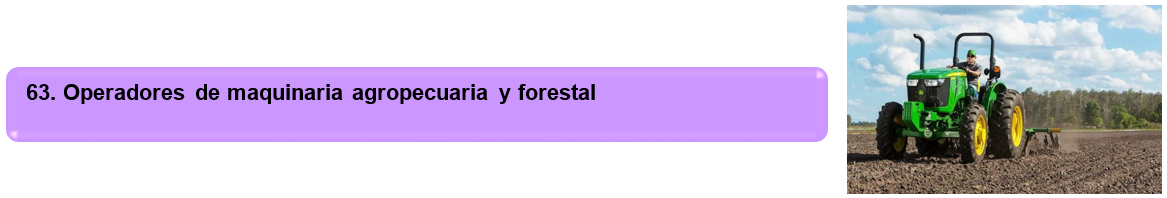 Service Name